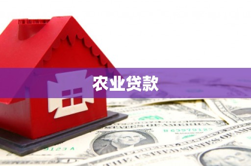 甘谷农业贷款