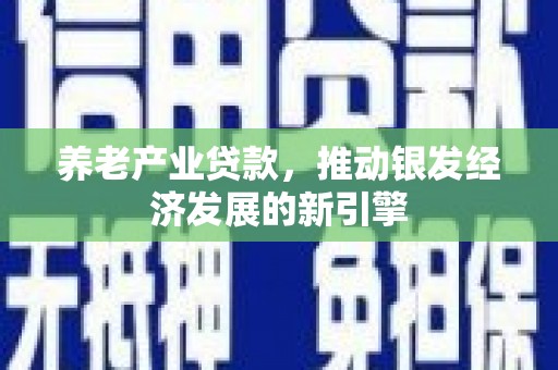 甘谷养老产业贷款，推动银发经济发展的新引擎