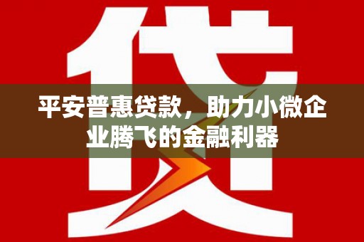 甘谷平安普惠贷款，助力小微企业腾飞的金融利器
