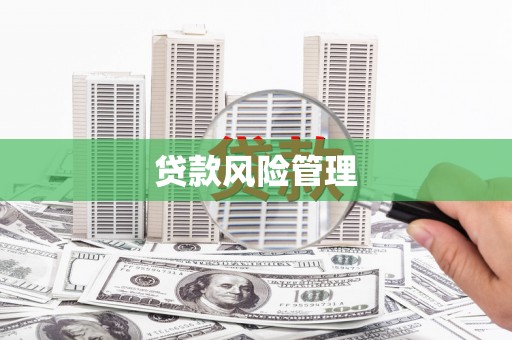甘谷贷款风险管理