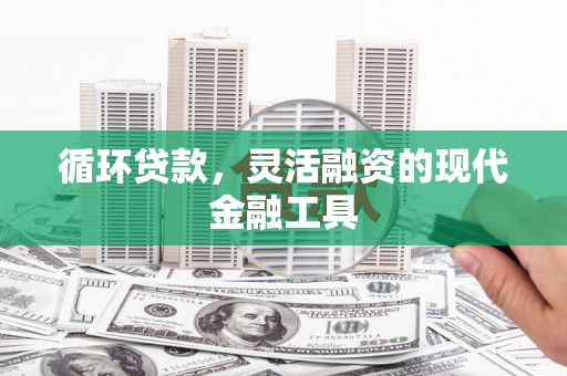 甘谷循环贷款，灵活融资的现代金融工具