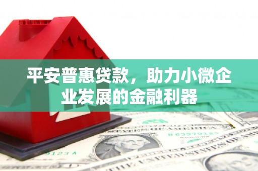 甘谷平安普惠贷款，助力小微企业发展的金融利器
