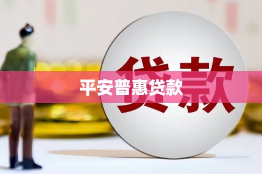 甘谷平安普惠贷款