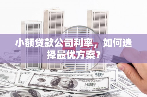 甘谷小额贷款公司利率，如何选择最优方案？