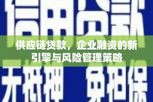 甘谷供应链贷款，企业融资的新引擎与风险管理策略