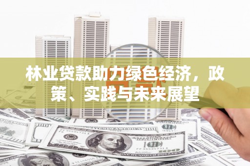 甘谷林业贷款助力绿色经济，政策、实践与未来展望