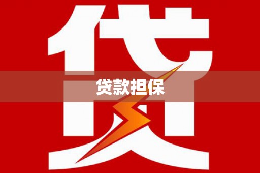 甘谷贷款担保