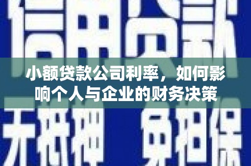 甘谷小额贷款公司利率，如何影响个人与企业的财务决策