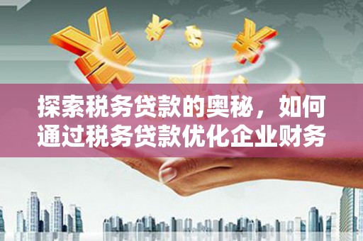 甘谷探索税务贷款的奥秘，如何通过税务贷款优化企业财务