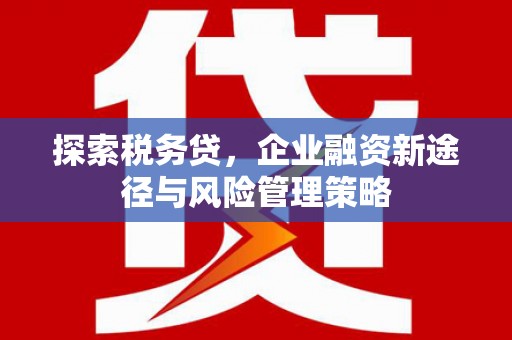 甘谷探索税务贷，企业融资新途径与风险管理策略