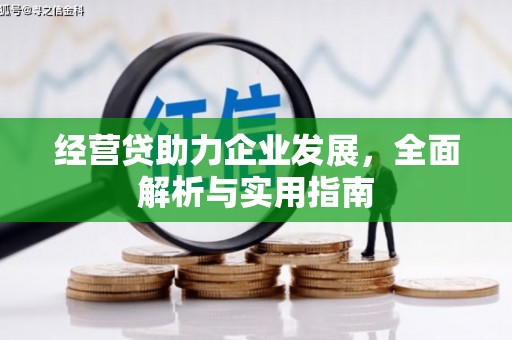 甘谷经营贷助力企业发展，全面解析与实用指南