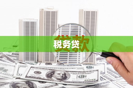 甘谷税务贷