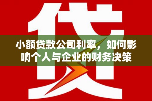 甘谷小额贷款公司利率，如何影响个人与企业的财务决策