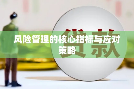 甘谷风险管理的核心指标与应对策略