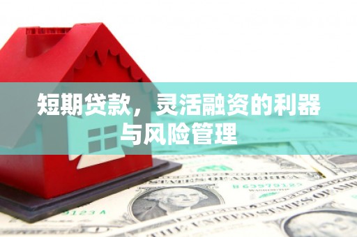 甘谷短期贷款，灵活融资的利器与风险管理