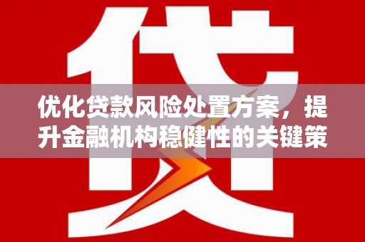 甘谷优化贷款风险处置方案，提升金融机构稳健性的关键策略
