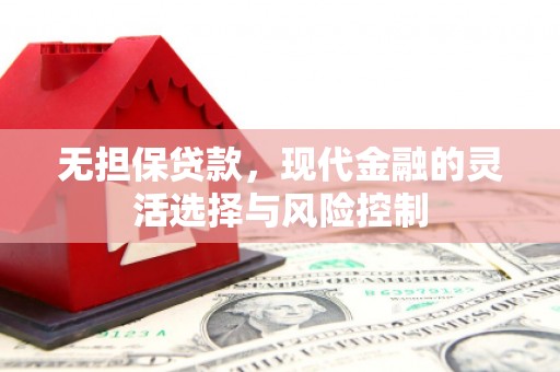 甘谷无担保贷款，现代金融的灵活选择与风险控制