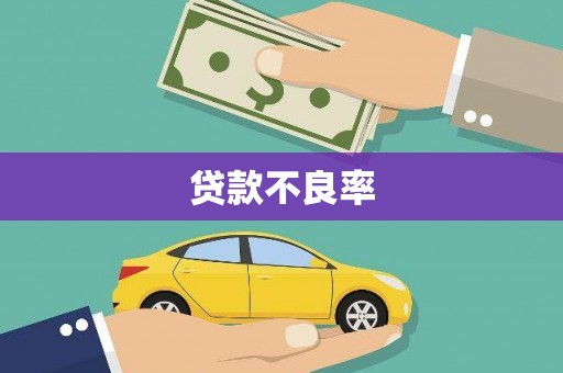 甘谷贷款不良率