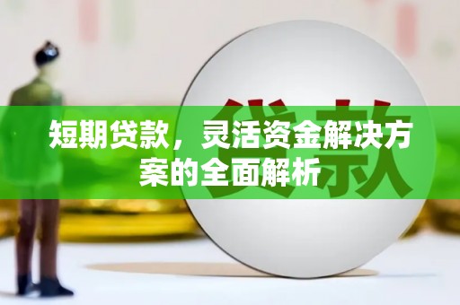 甘谷短期贷款，灵活资金解决方案的全面解析