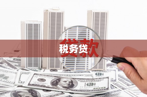 甘谷税务贷