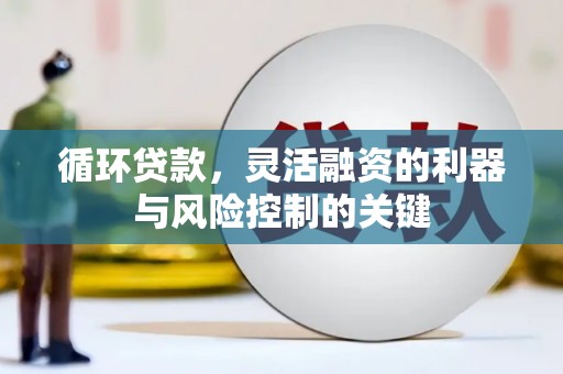甘谷循环贷款，灵活融资的利器与风险控制的关键