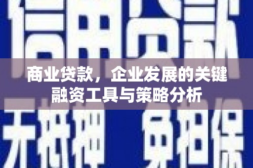 甘谷商业贷款，企业发展的关键融资工具与策略分析