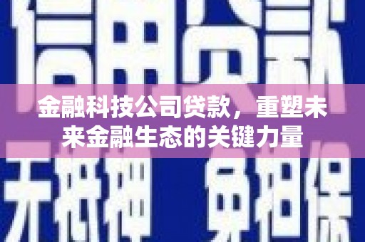 甘谷金融科技公司贷款，重塑未来金融生态的关键力量