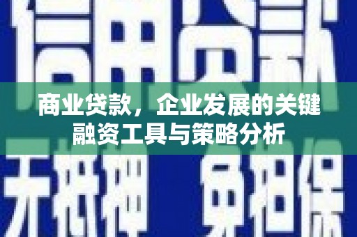 甘谷商业贷款，企业发展的关键融资工具与策略分析