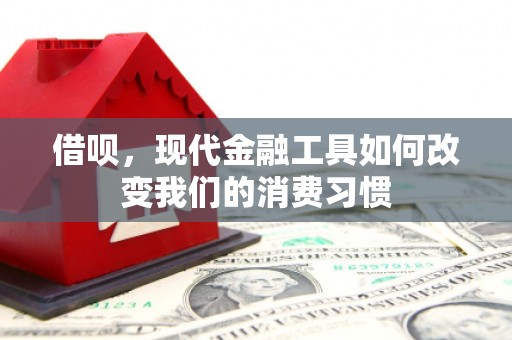 甘谷借呗，现代金融工具如何改变我们的消费习惯