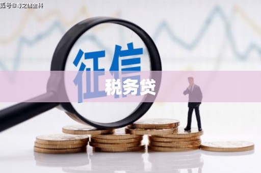甘谷税务贷
