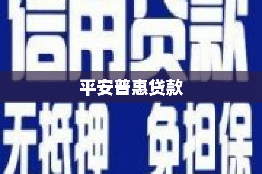 甘谷平安普惠贷款