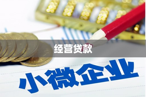 甘谷经营贷款