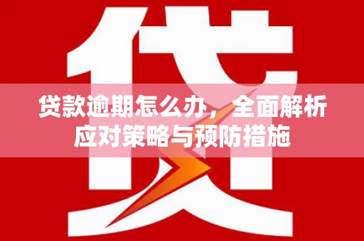 甘谷贷款逾期怎么办，全面解析应对策略与预防措施