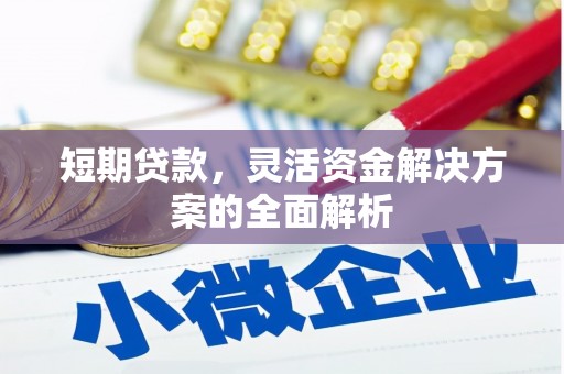 甘谷短期贷款，灵活资金解决方案的全面解析