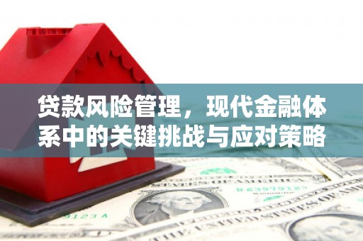 甘谷贷款风险管理，现代金融体系中的关键挑战与应对策略