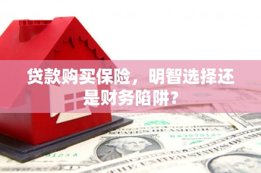 甘谷贷款购买保险，明智选择还是财务陷阱？
