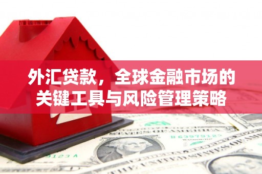 甘谷外汇贷款，全球金融市场的关键工具与风险管理策略