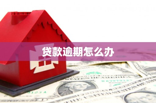 甘谷贷款逾期怎么办