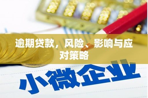 甘谷逾期贷款，风险、影响与应对策略