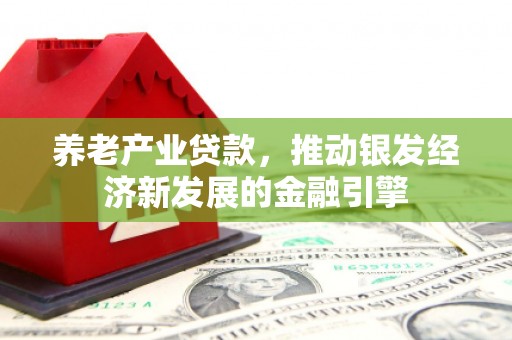 甘谷养老产业贷款，推动银发经济新发展的金融引擎