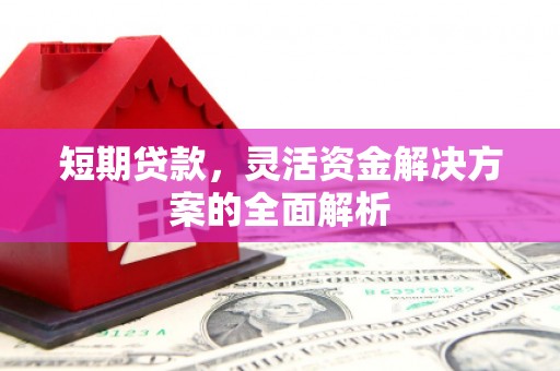 甘谷短期贷款，灵活资金解决方案的全面解析