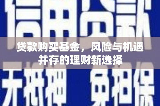 甘谷贷款购买基金，风险与机遇并存的理财新选择