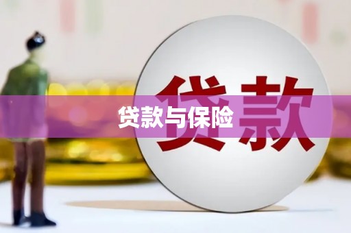 甘谷贷款与保险