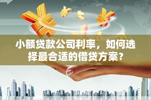 甘谷小额贷款公司利率，如何选择最合适的借贷方案？
