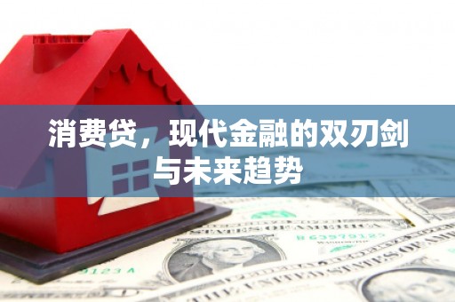 甘谷消费贷，现代金融的双刃剑与未来趋势
