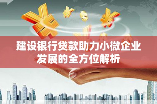 甘谷建设银行贷款助力小微企业发展的全方位解析