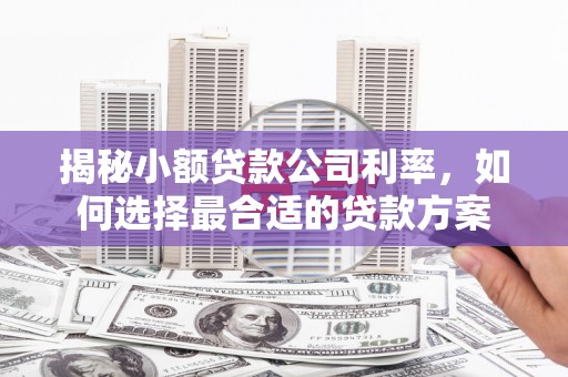 甘谷揭秘小额贷款公司利率，如何选择最合适的贷款方案