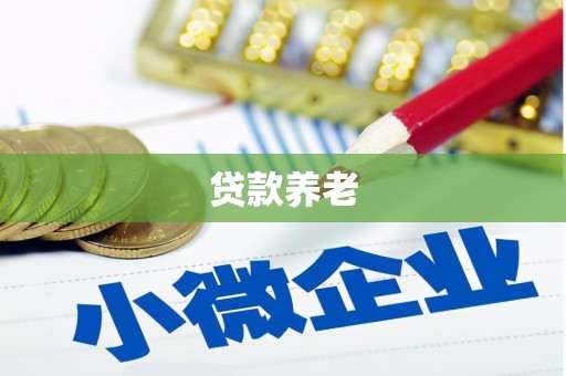 甘谷贷款养老