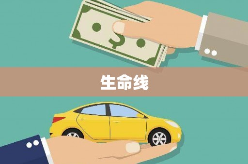 甘谷生命线