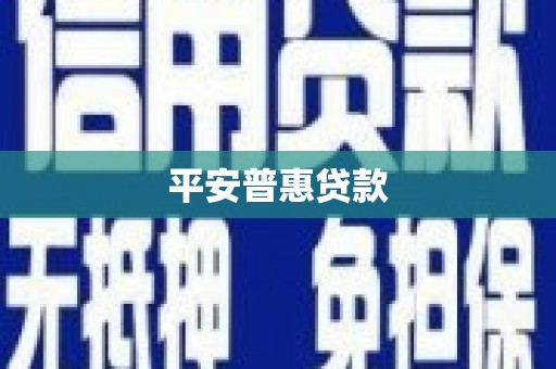 甘谷平安普惠贷款